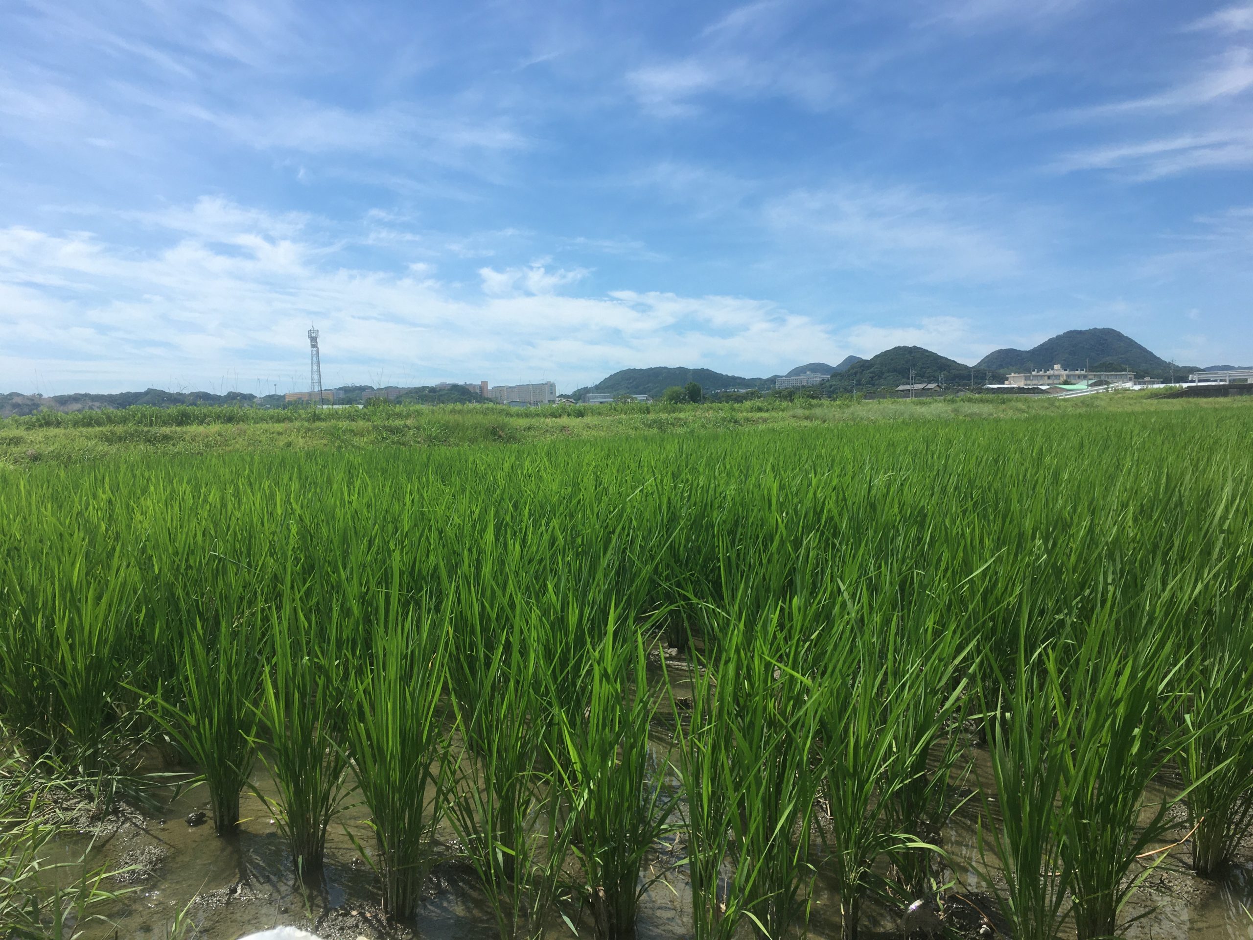 5月からの振返り