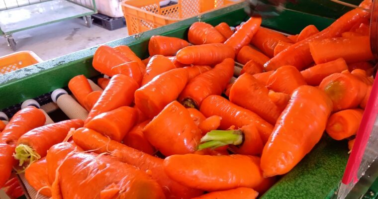 2025年ありがとうございました。